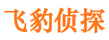 临潼市侦探公司